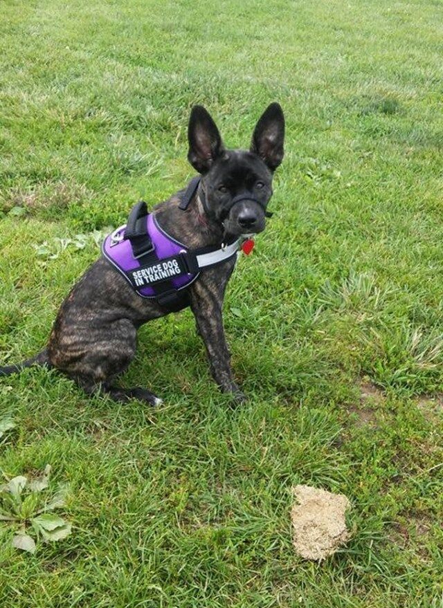 Laura Joos Upset When Stranger’s Kid Smacks Her Dog In Walmart