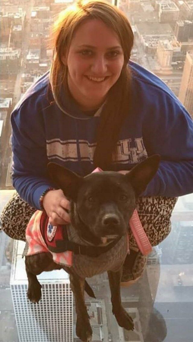 Laura Joos Upset When Stranger’s Kid Smacks Her Dog In Walmart