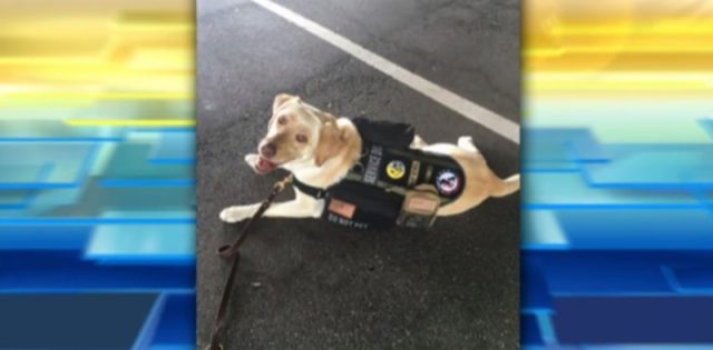 Cincinnati Bell Threatens To Fire Wounded Warrior Yauncey Long