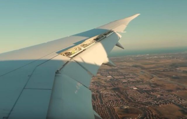 Ellen Flemming Kicked Off Flight, Airline Offers Controversial Explanation