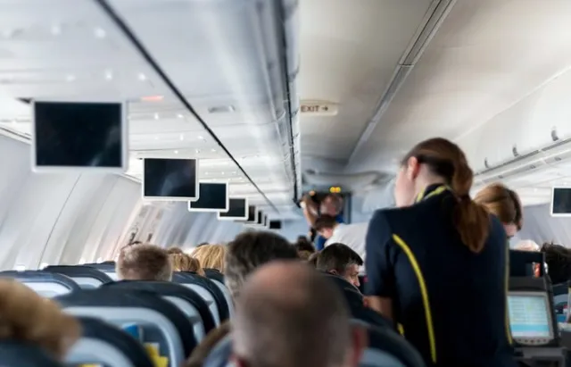 American Airlines flight