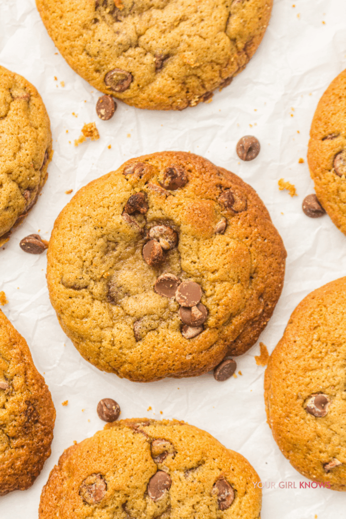 Soft & Chewy Sourdough Chocolate Chip Cookies Using Sourdough Discard
