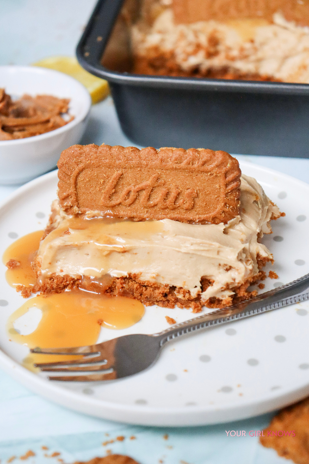 Yummiest No-Bake Biscoff Cheesecake That Tastes Way Too Good for How Easy It Is