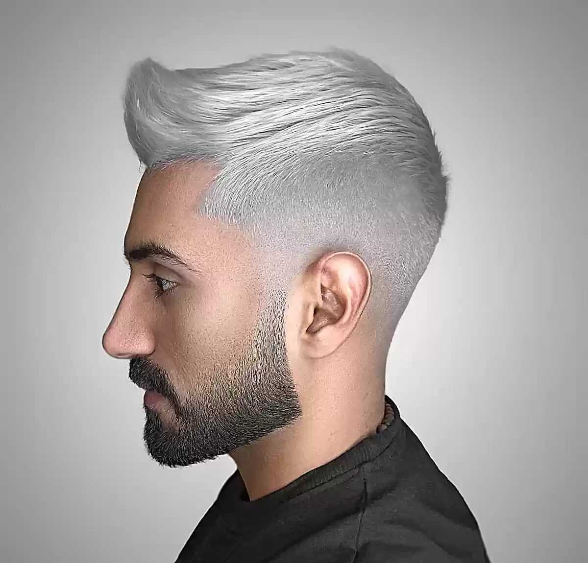 Neutral Icy Silver Hair Color