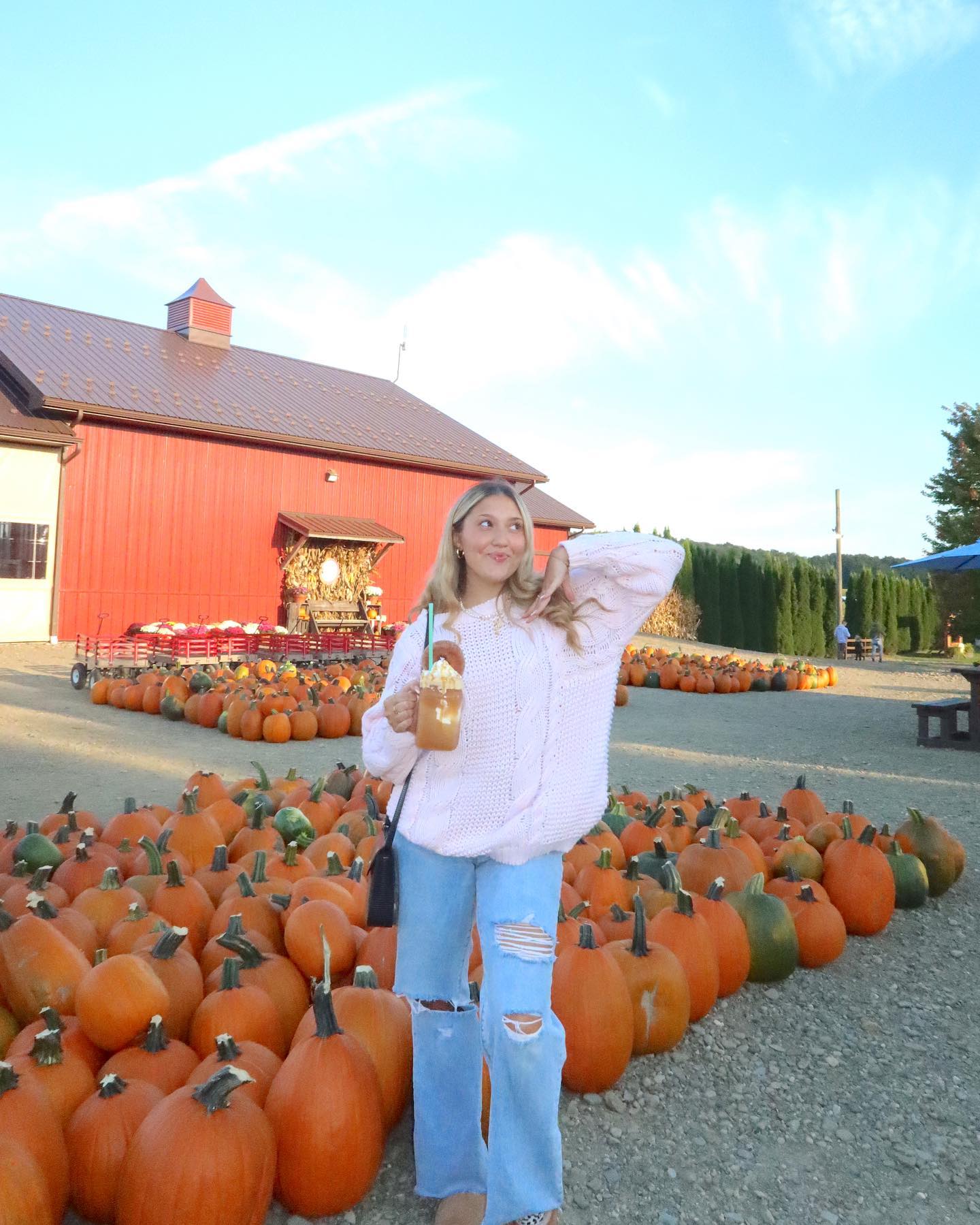 Cozy Pink Sweater With Ripped Denim at Pumpkin Patch