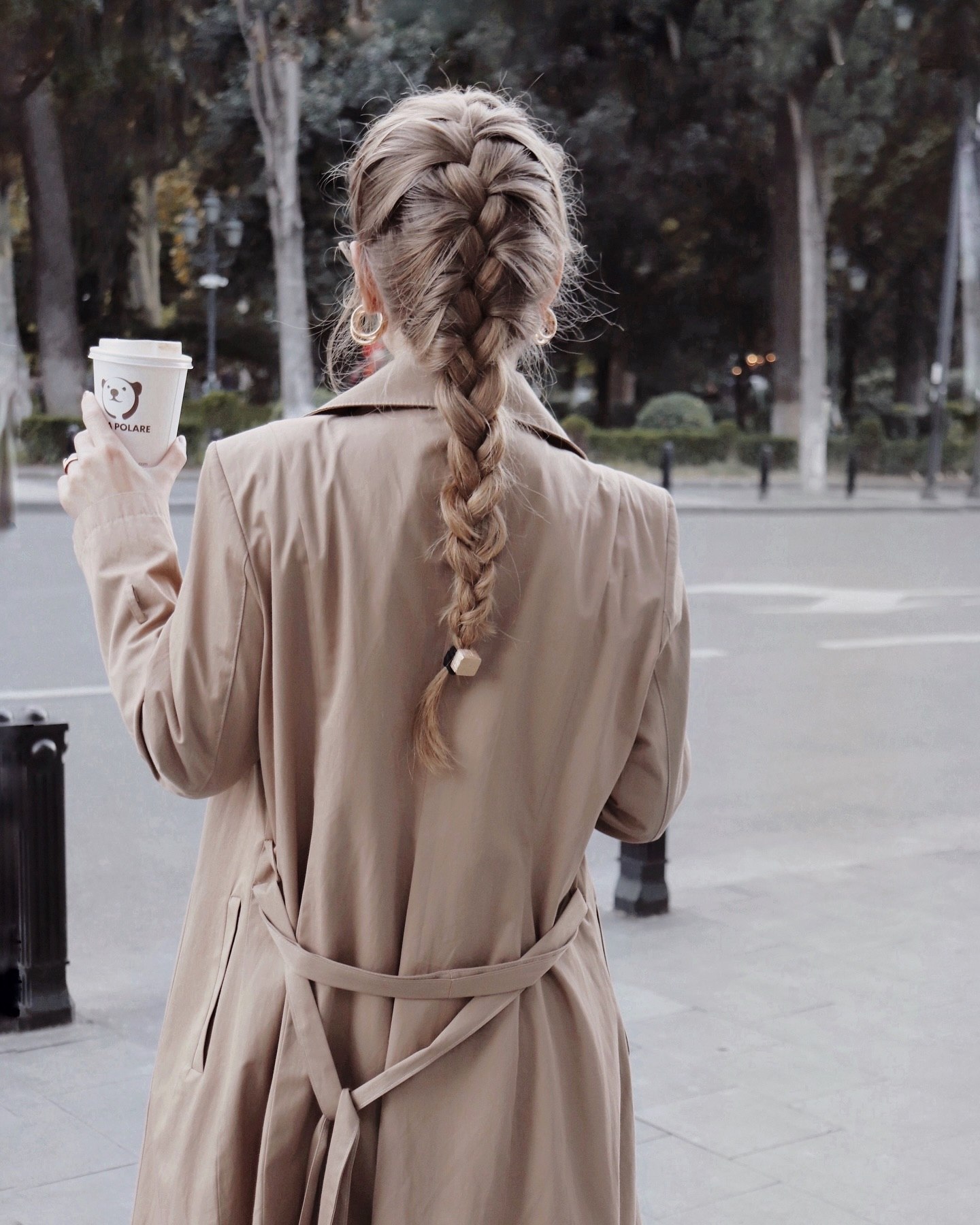 Effortless French Braid With Subtle Honey Blonde Highlights