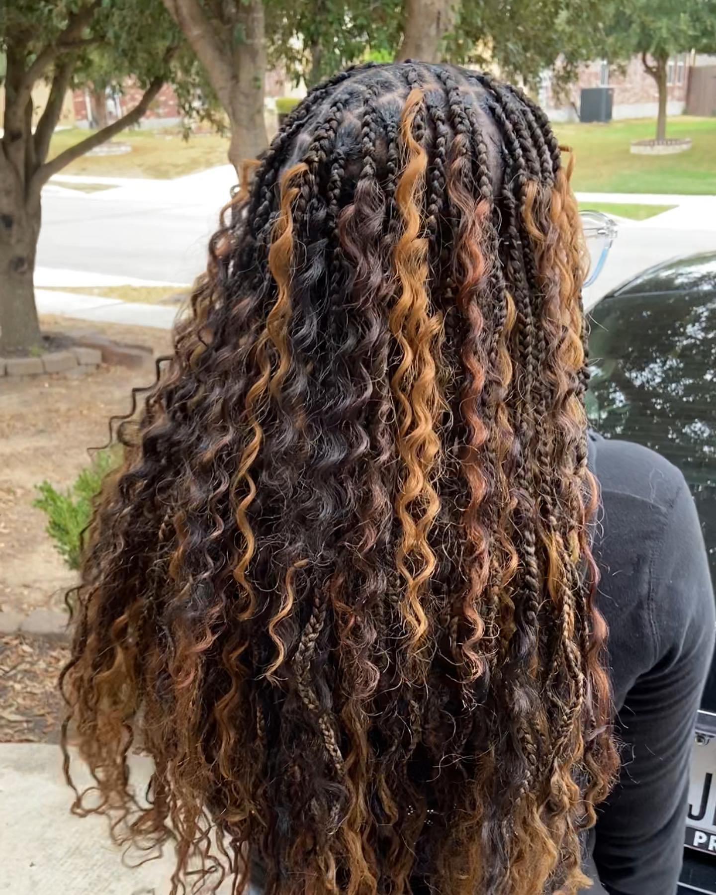 Mixed Texture Braids With Caramel Highlights