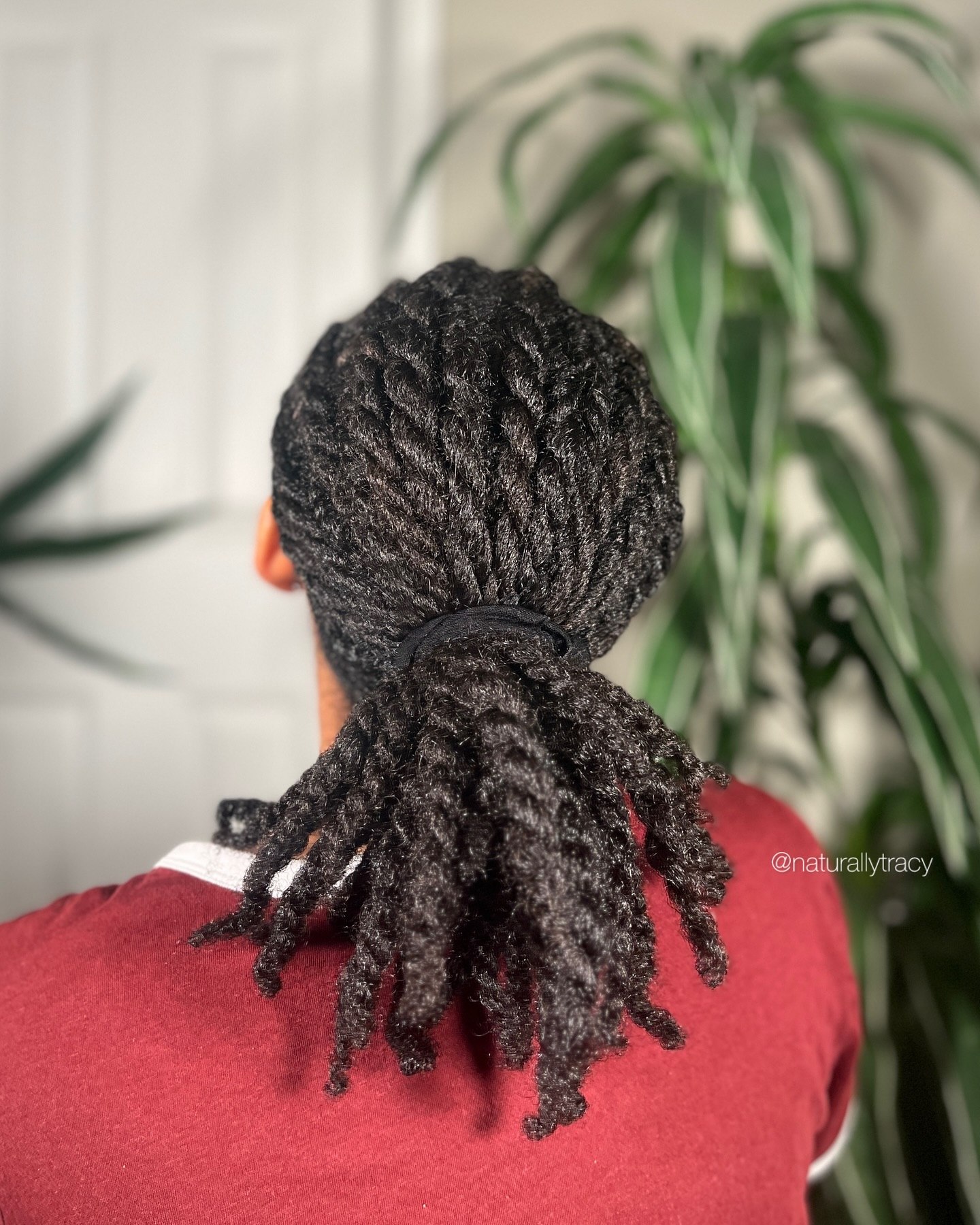 Defined Twist Out Low Ponytail For Type 4c Hair