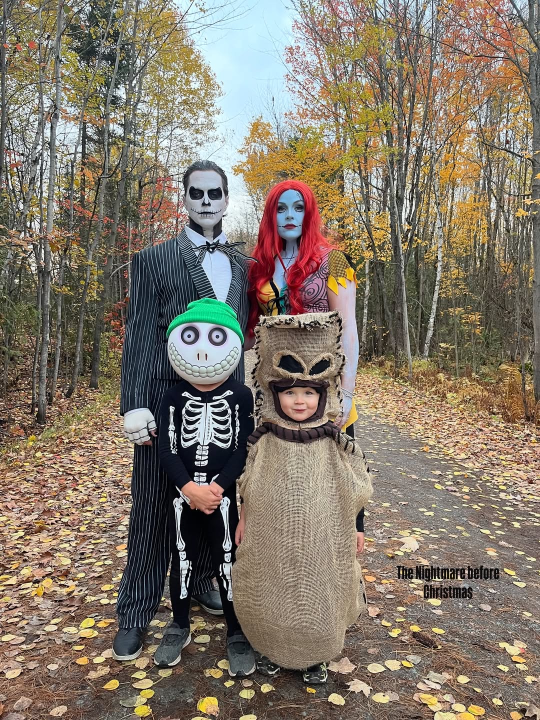 Nightmare Before Christmas Trio Halloween Costumes