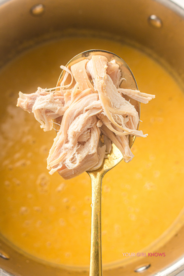 The One-Pot Chicken & Vegetable Soup You'll Crave All Soup Season Long The One-Pot Chicken & Vegetable Soup You'll Crave All Soup Season Long