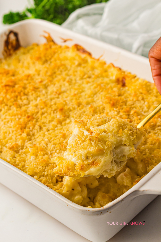 The Homemade Baked Mac and Cheese That Steals the Spotlight at Every Potluck The Homemade Baked Mac and Cheese That Steals the Spotlight at Every Potluck