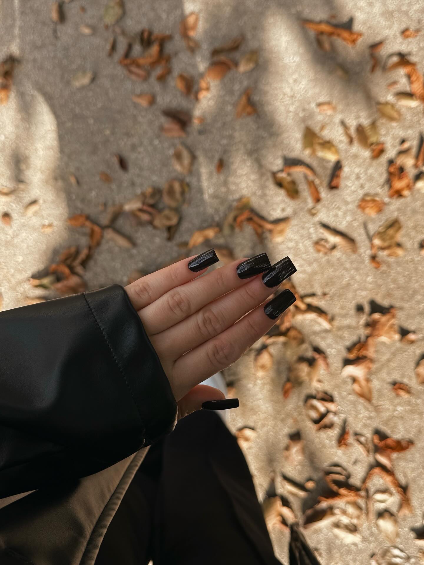 Glossy Black Square Fall Nails