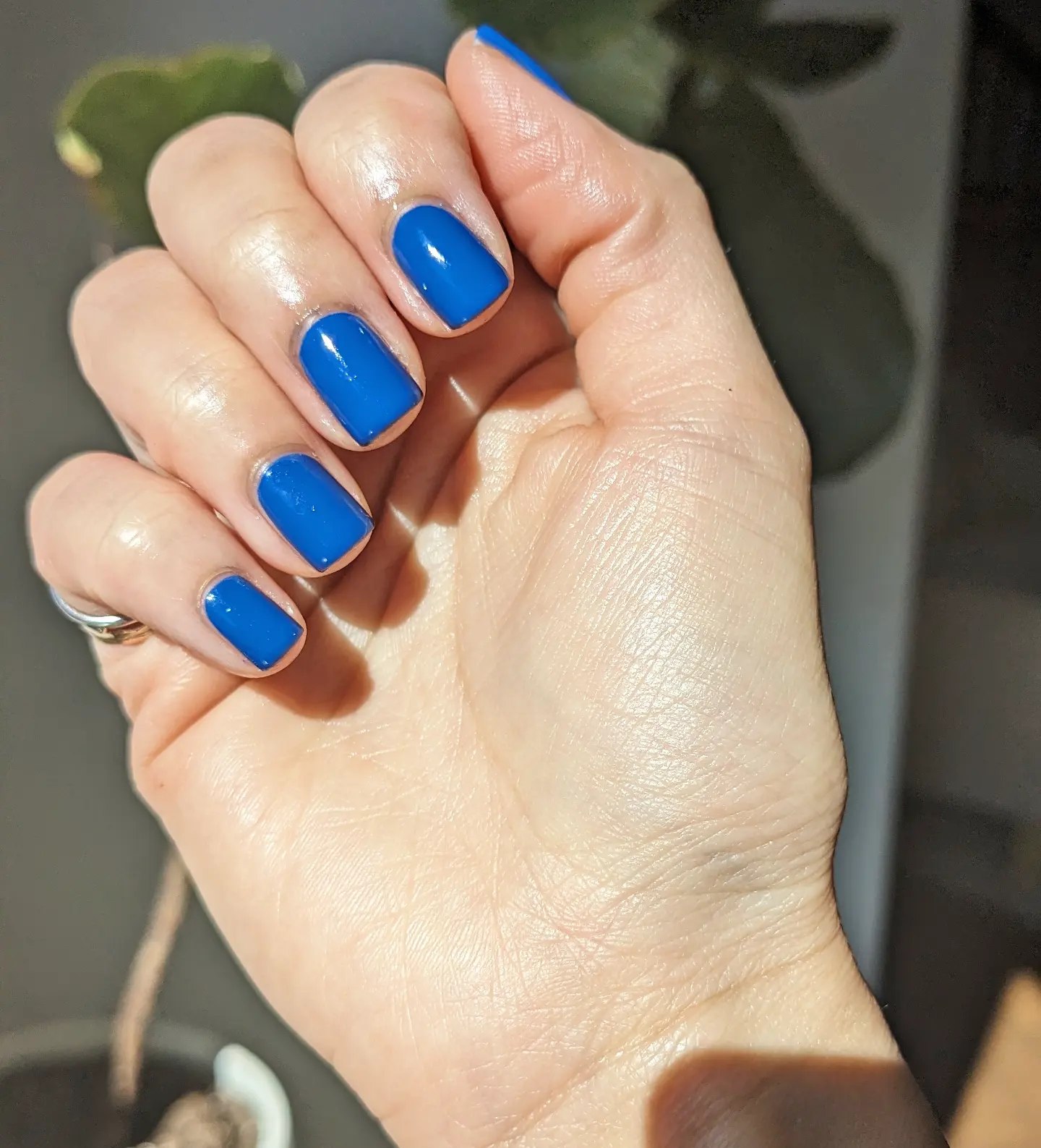 Vibrant Royal Blue Glossy Short Squoval Nails