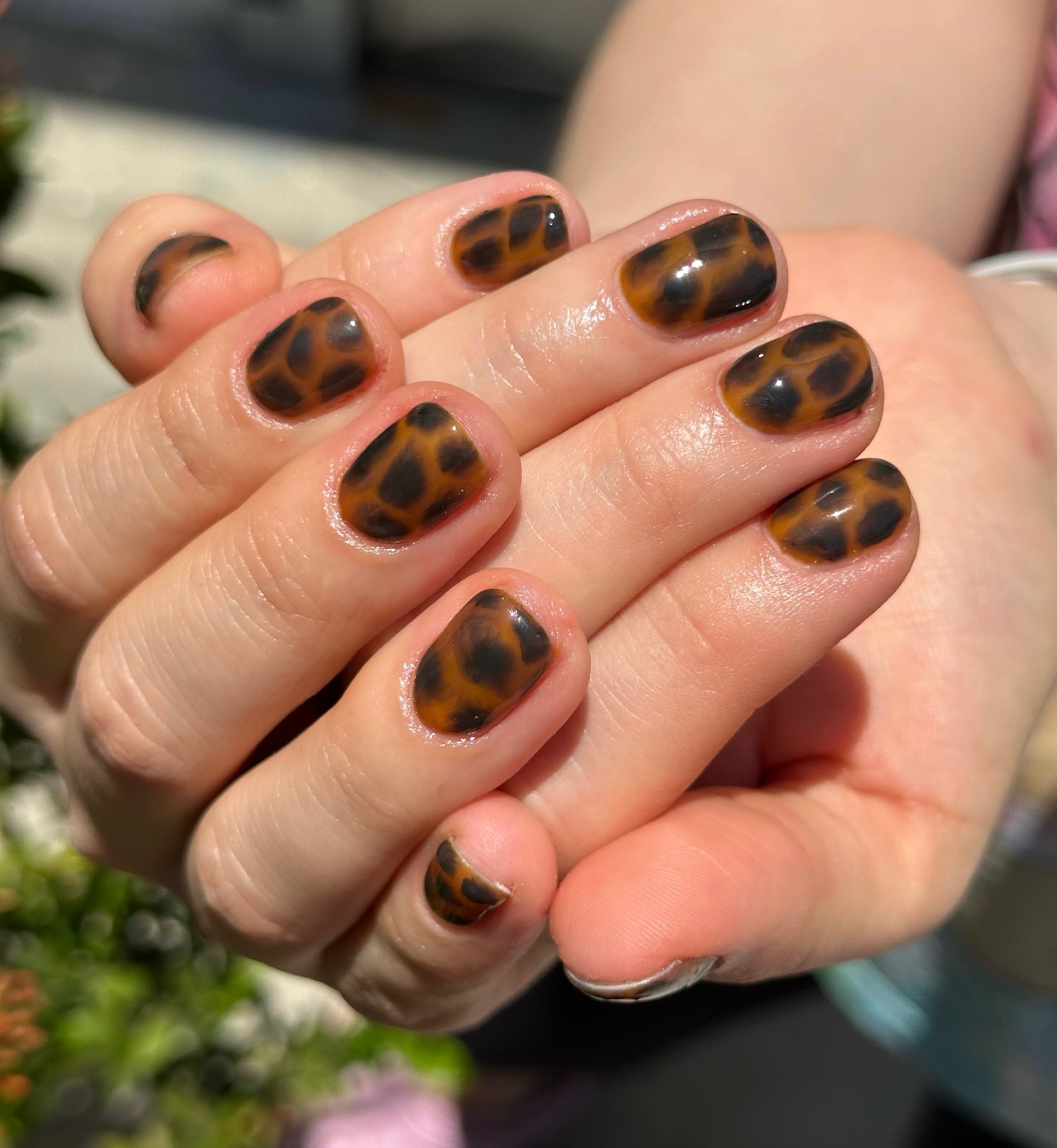 Classic Tortoiseshell Short Round Nails