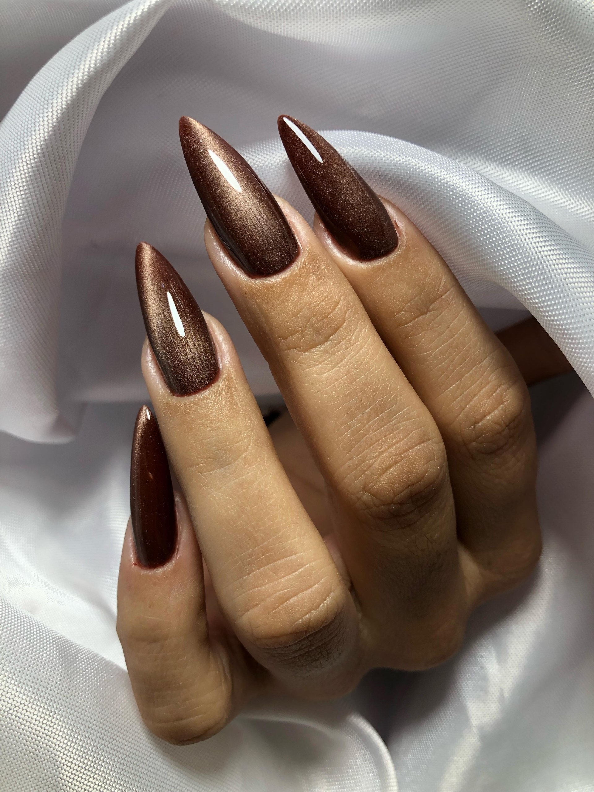Rich Bronze Cat Eye Stiletto Nails