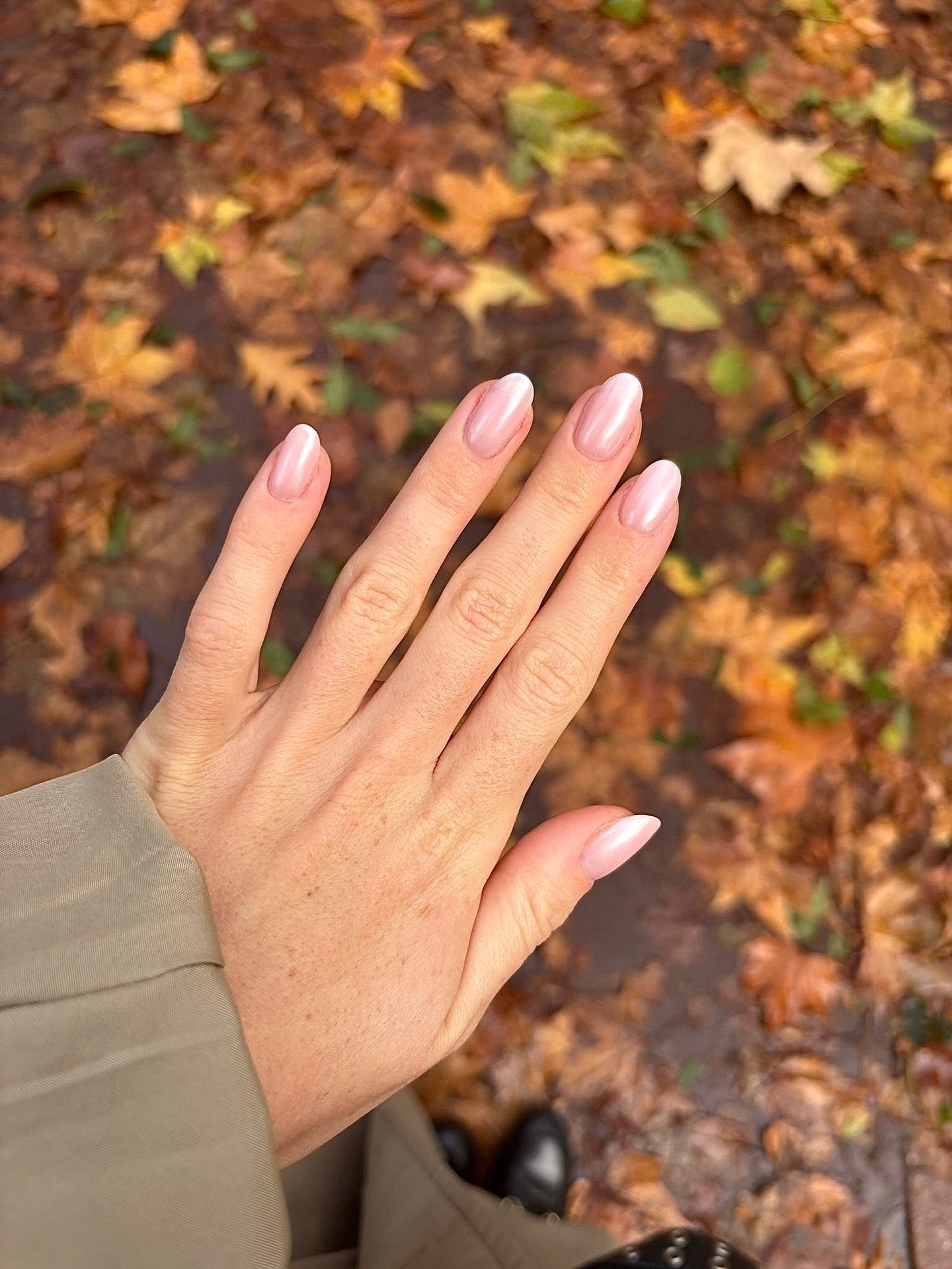 Subtle Pearly Pink Almond French Tips