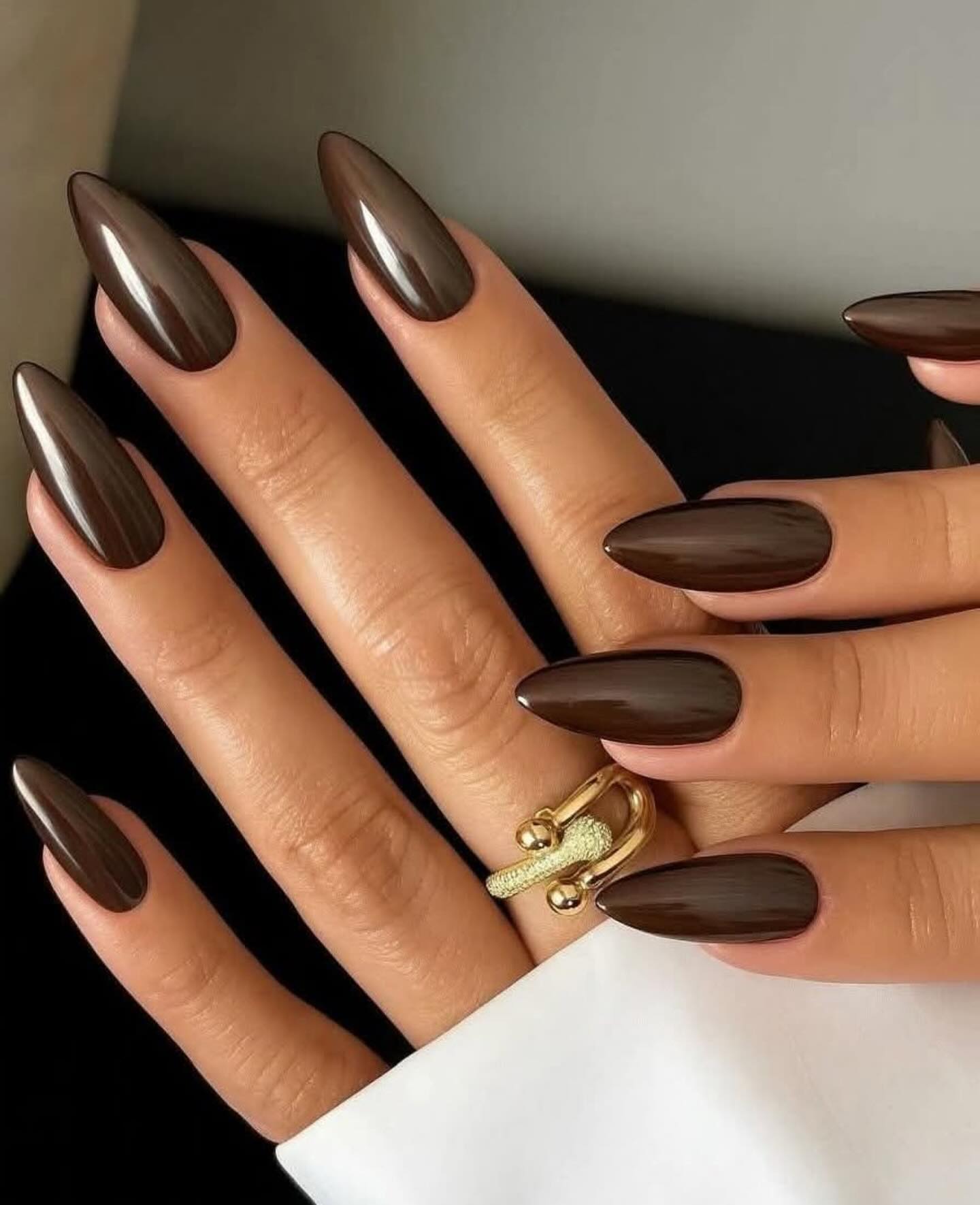 Glossy Chocolate Brown Stiletto Chrome Nails