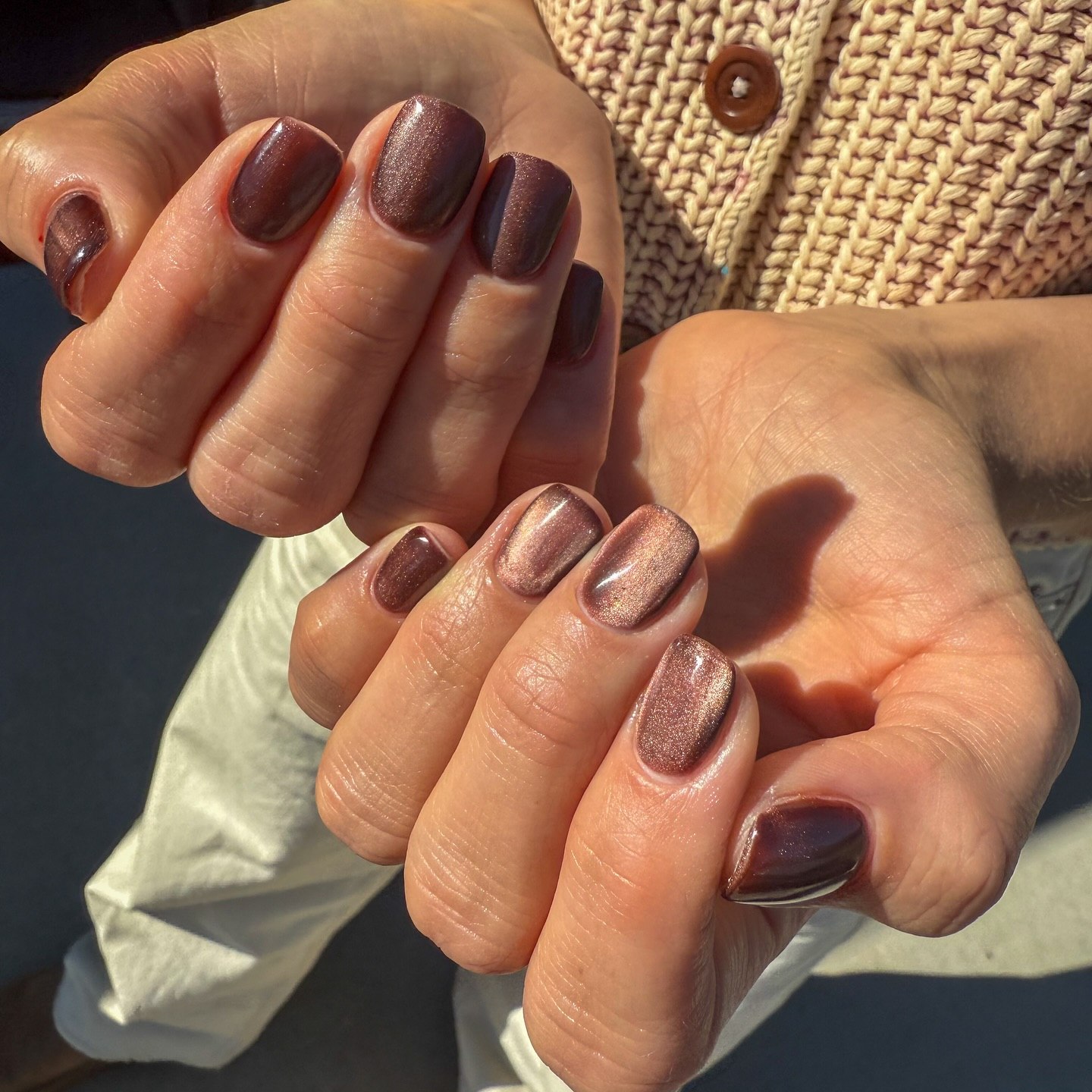 Rich Chocolate Cat Eye Nails