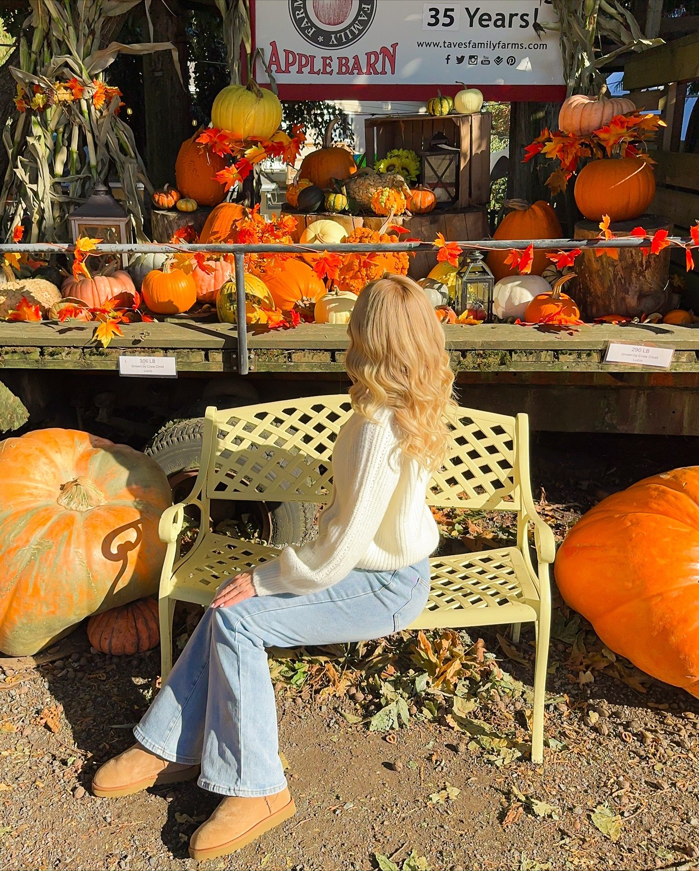 Cozy Cream Knit And Light Wash Flare Jean Thanksgiving