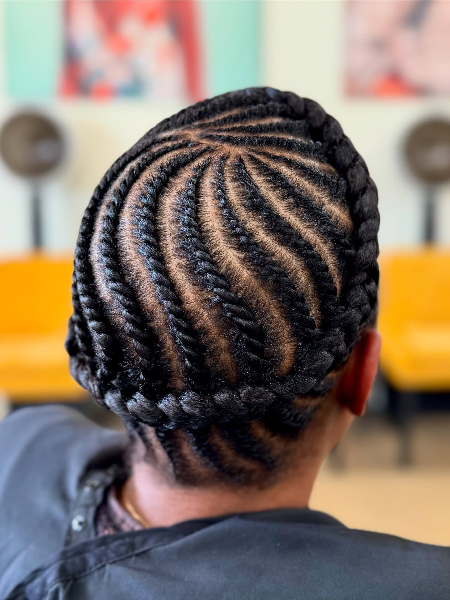 Intricate Swirl Flat Twists With Braided Border