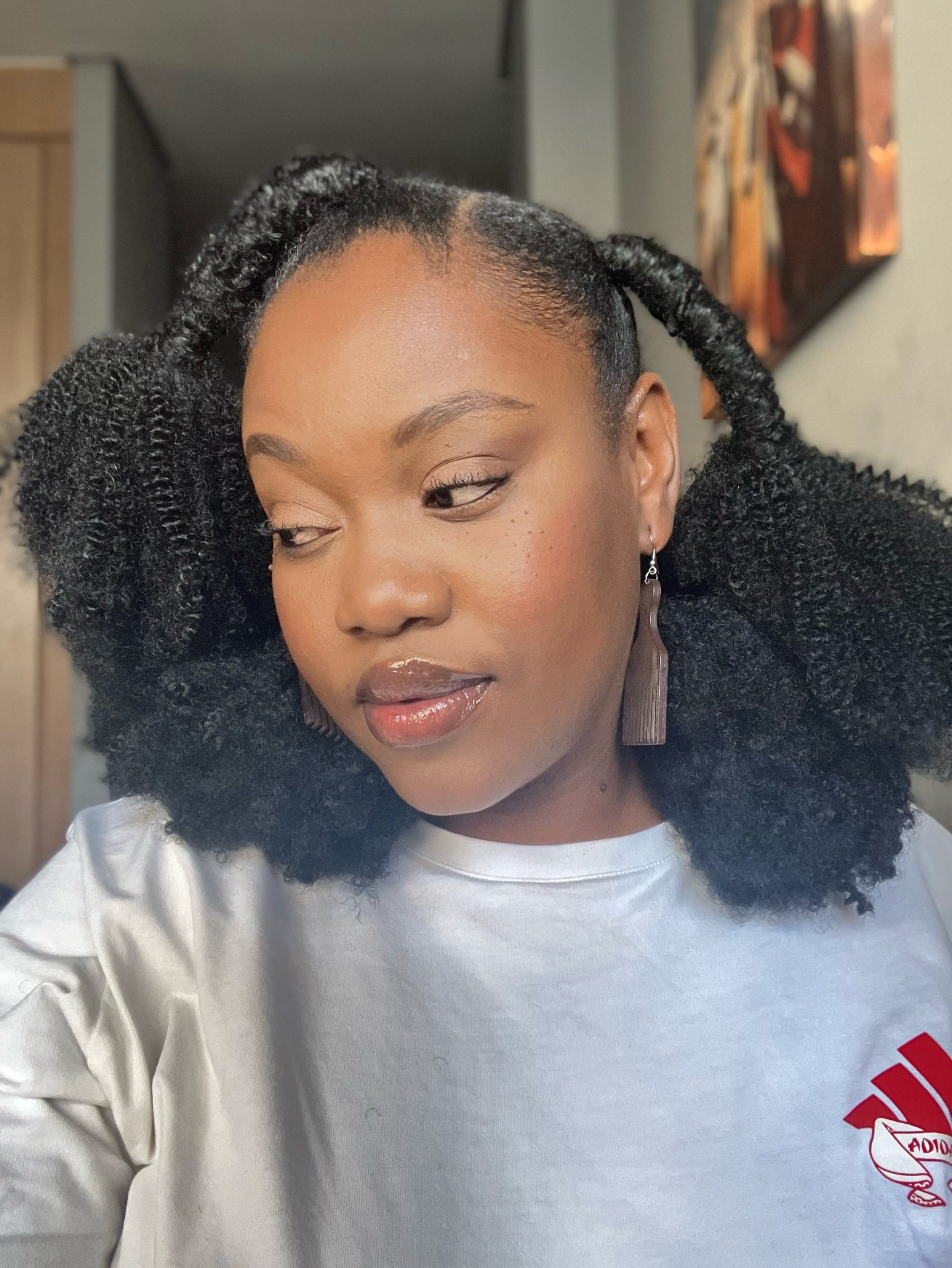 Voluminous Afro Pigtails With Defined Coils