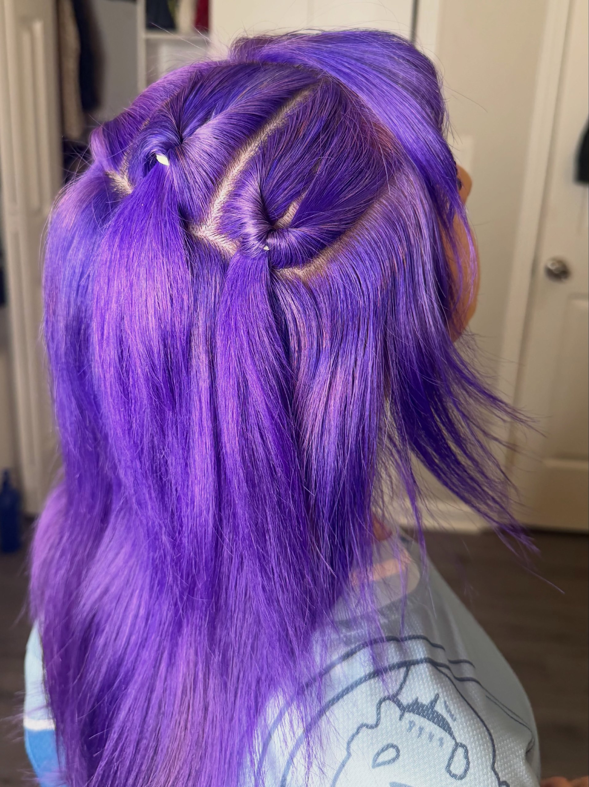 Vibrant Purple Space Buns With Braided Accents