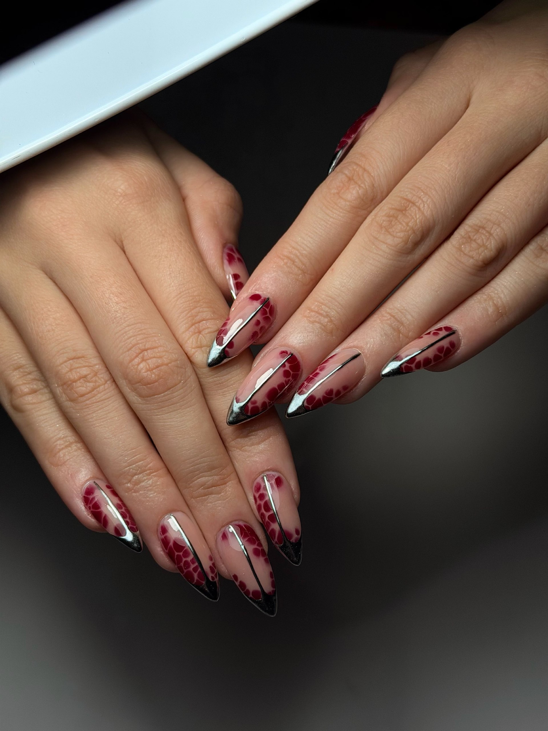 Burgundy Alligator French Tip Stiletto Nails
