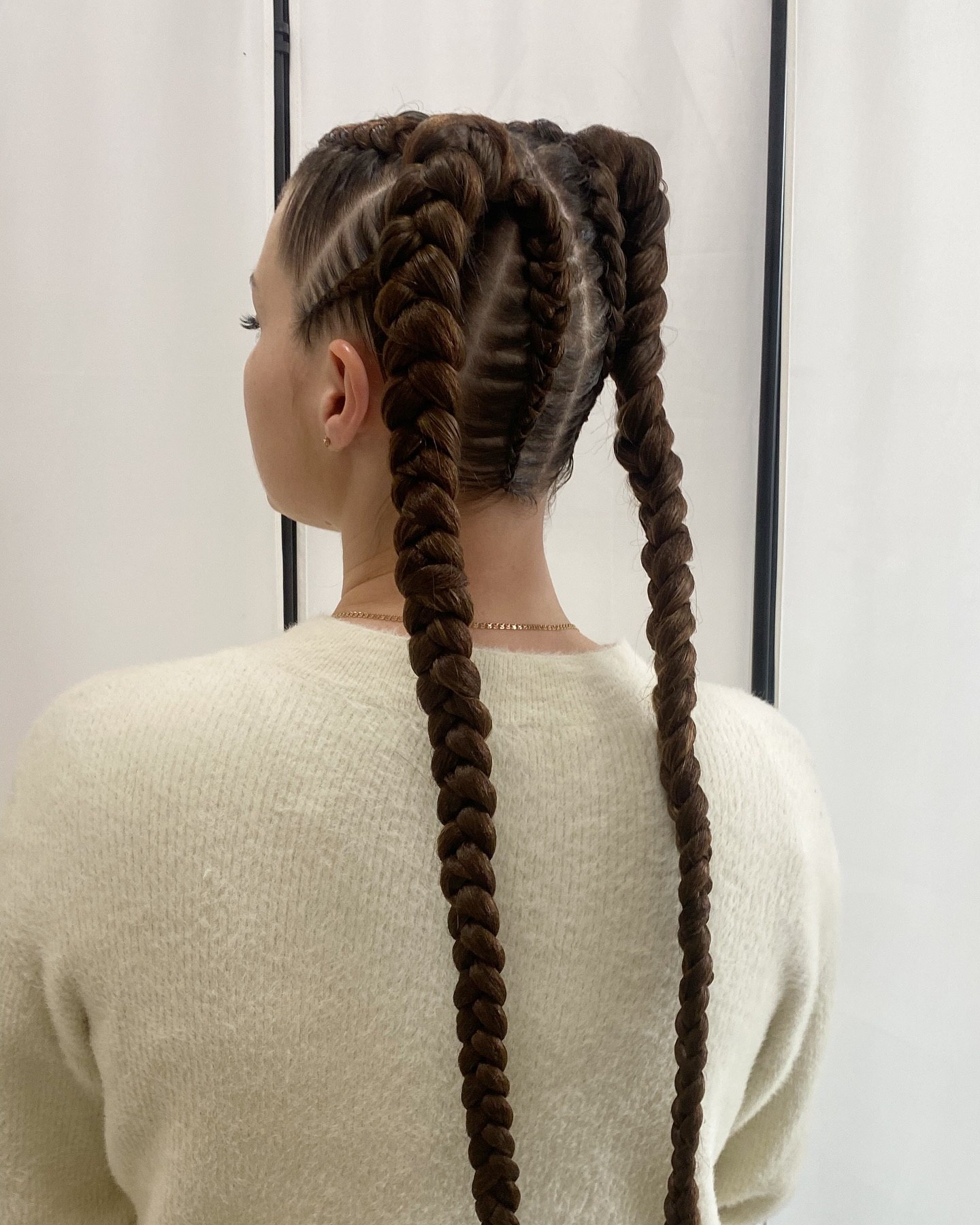 Double Dutch Braids With Undercut Detail