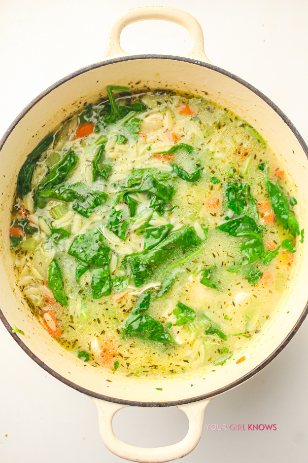 This Lemon Chicken Orzo Soup That Makes a Chilly Evening Feel So Much Better