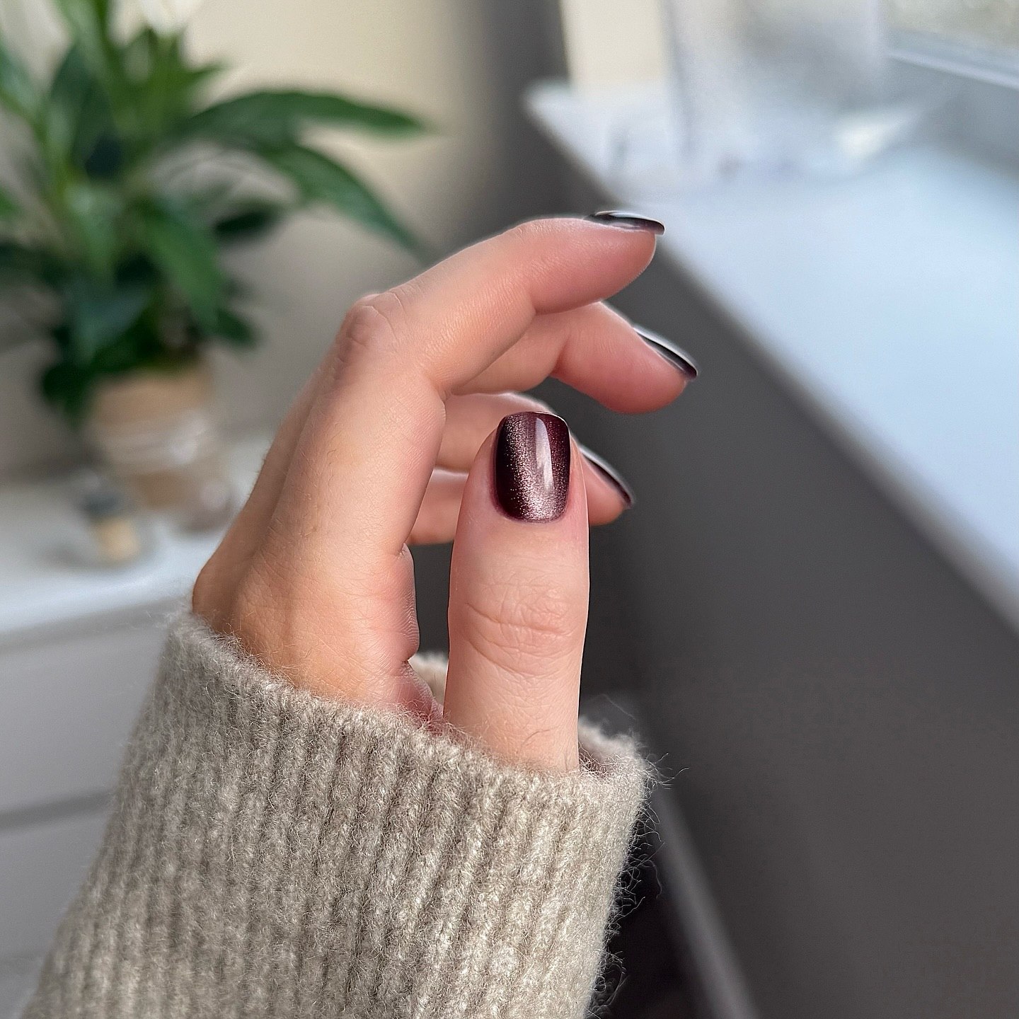 Deep Plum Cat Eye Shimmer Nails