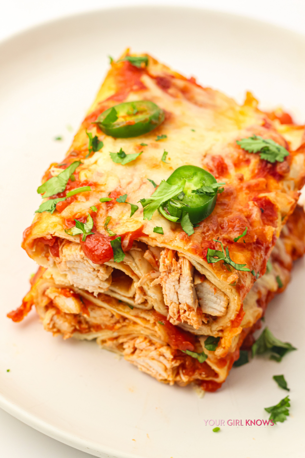 The Make-Ahead Chicken Enchiladas You'll Be So Glad You Stashed in the Freezer