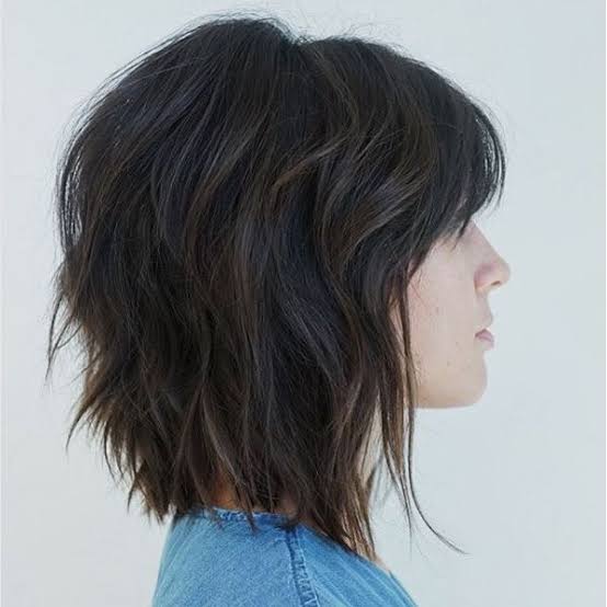 Dark Brown Shag With Choppy Bangs, Collarbone Dark Brown Shag With Choppy Bangs, Collarbone — Trendy Short Shag