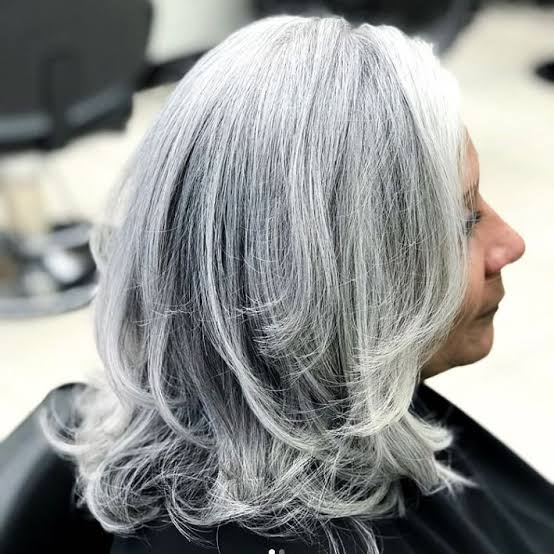 Collarbone Layered Hair Gray Highlights — Trendy Grey Highlights