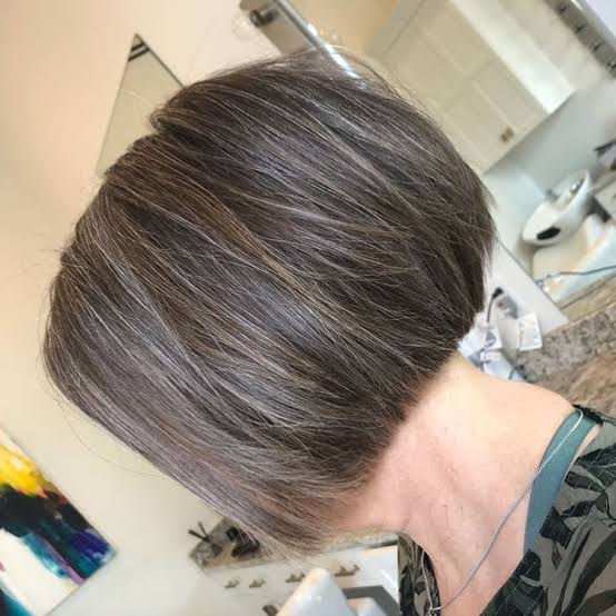 Ear Length Sleek Bob Gray Highlights — Trendy Grey Highlights